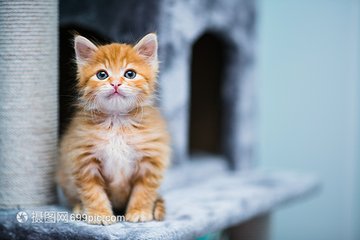 小狐狸钱包地址错误