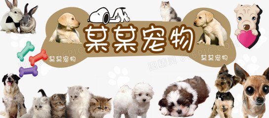 usdt手机钱包