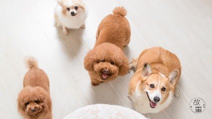 tp钱包app下载安装下载地址