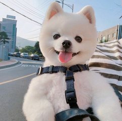 tp钱包苹果教程